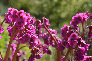 National Maritime Museum