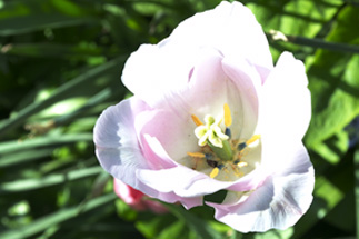 National Maritime Museum