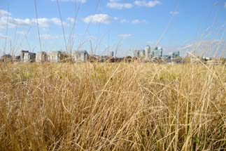 Royal Naval College Greenwich