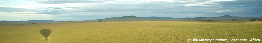 @ Julia Massey Stewart, Serengeti, Africa. Photography, creative digital, wedding, iMovie and Photoshop courses at The Mango Lab in London