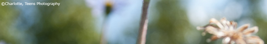 Teens Photography, Marcus